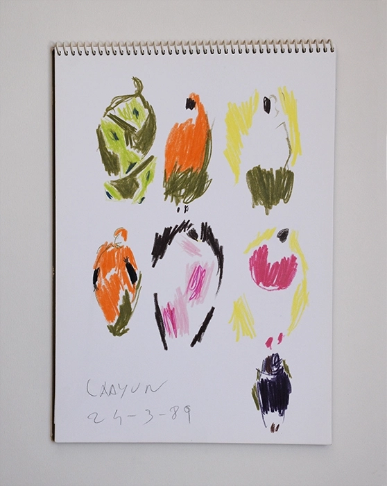 Quaderns de viatge. Sàhara Occidental, 1989