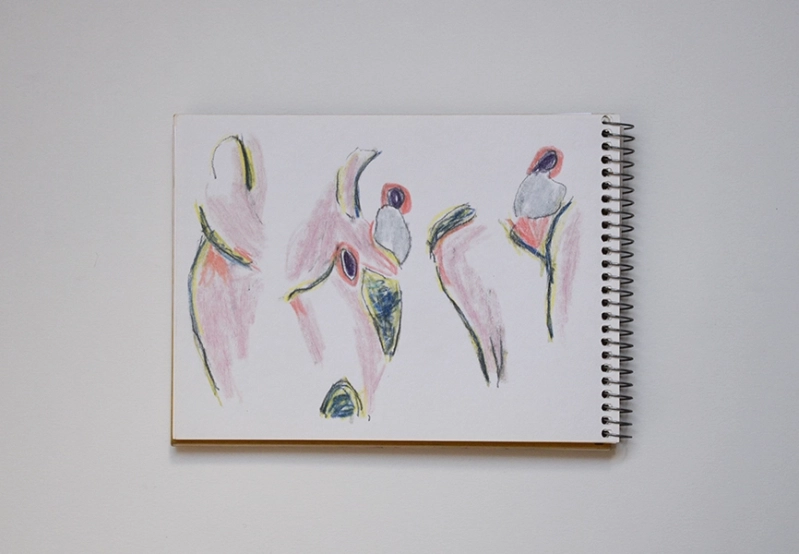 Travel notebooks. Mauritania, 1990