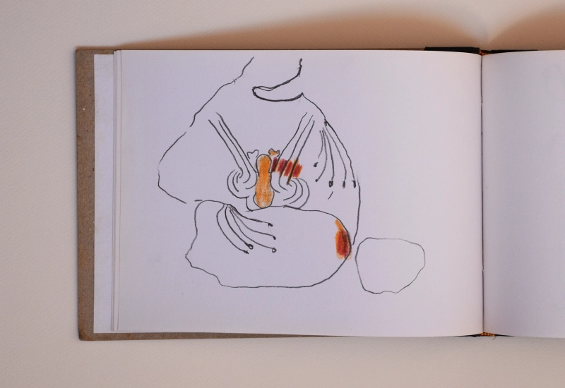 S/T (sèrie Espills d'un jardí), c.1990