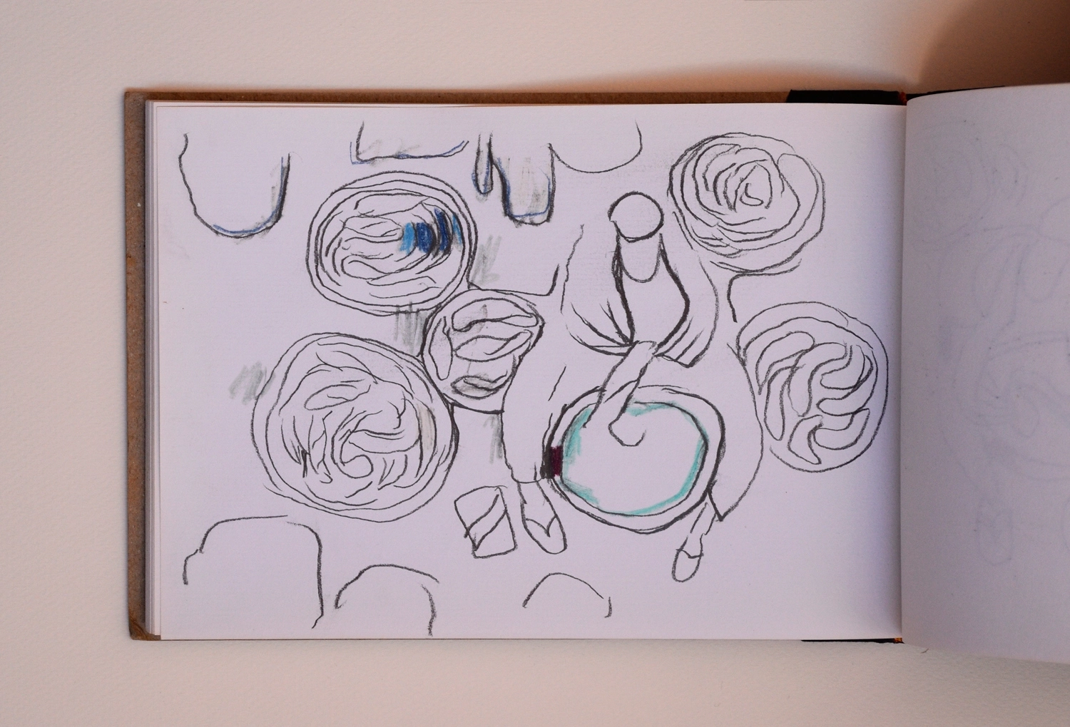 Travel notebooks. Mauritania, 1990