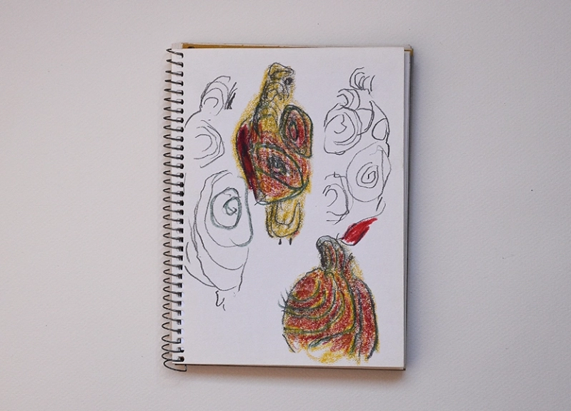 Travel notebooks. Western Sahara, 1990